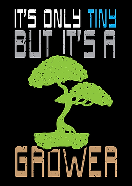 Bonsai Tree Japan Japanese