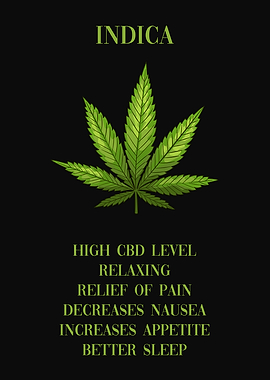 Cannabis Indica Marijuana