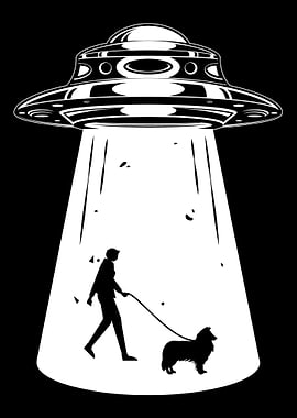 Collie UFO Alien Collie Do