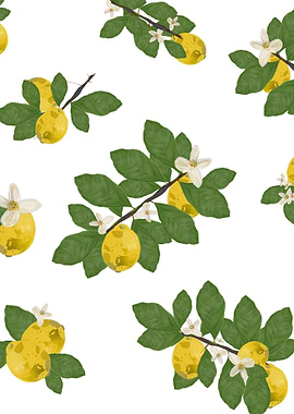 Lemon tree and lemons