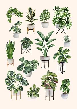 Plant Collection 6