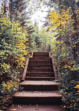 Stairs and Fall Colora