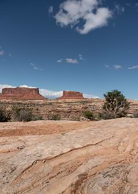 American southwest classic