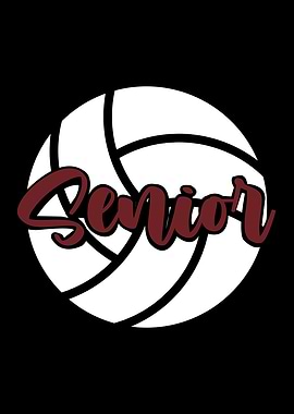 Volleyball BeachVolleyball