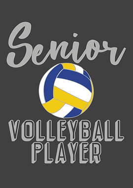 Volleyball BeachVolleyball