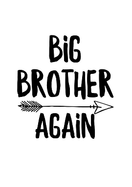 Big Brother Again