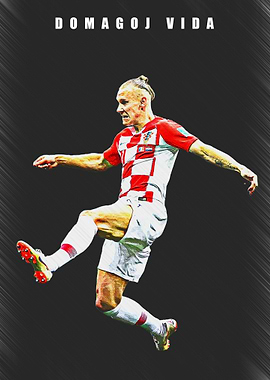 Domagoj Vida Croatia