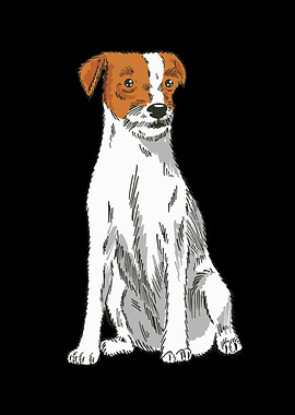 Parson Russell Terrier