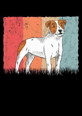 Parson Russell Terrier