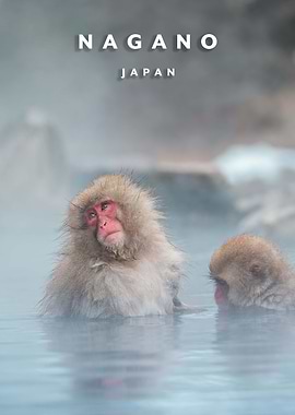 Jigokudani Monkey