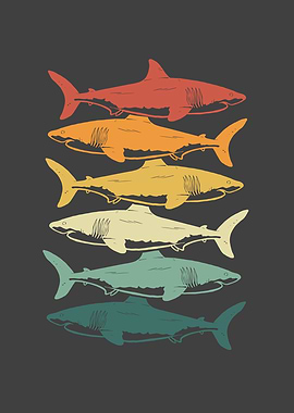Many sharks retro vintage