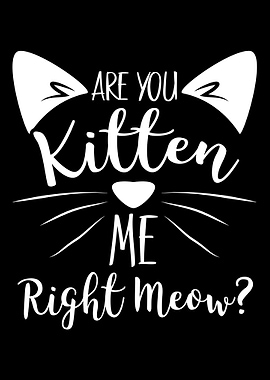 Are You Kitten Right Meow