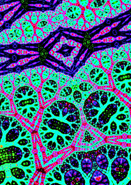 Trippy Groovy Fractal