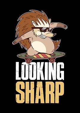 Looking Sharp Hedgehog