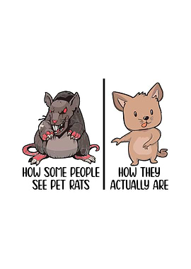 Cute Rat Gift Idea Pets