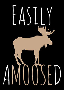 Easily Amoosed Moose Campi