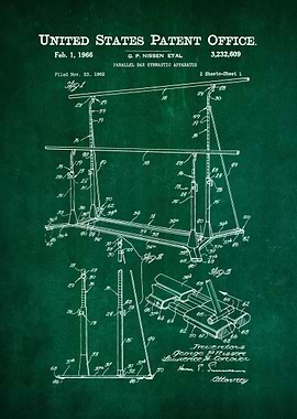 67 Parallel Bar Gymnastic