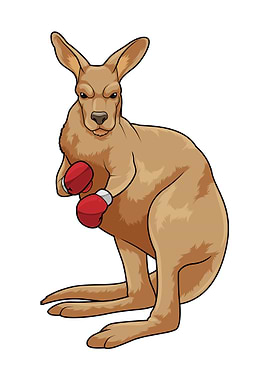 Kangaroo Boxing