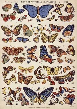 Vintage Flower Nature