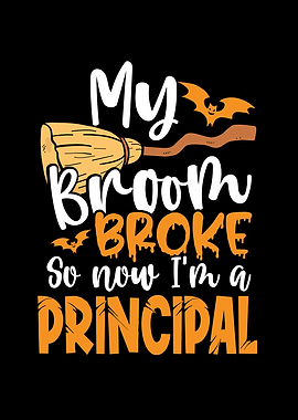 Broom broke i am a princip