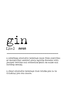 Gin Definition