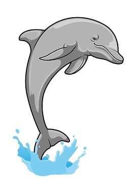 Jumping Dolphin Water