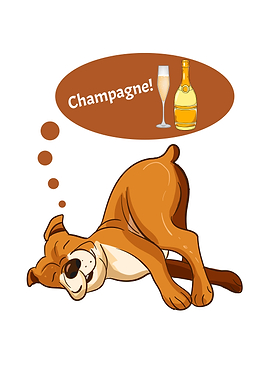 Cute Dog Champagne Lover