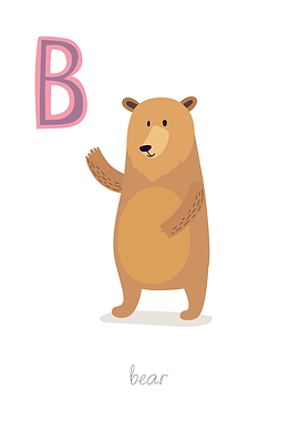 Animal Alphabet B Bear