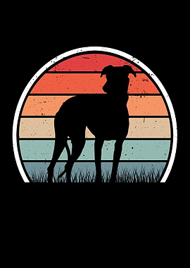Whippet Retro Greyhound