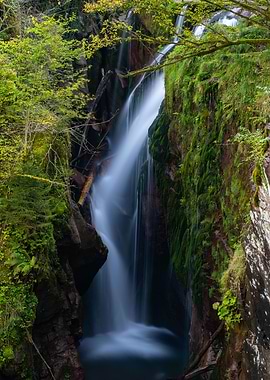 Waterfall With Fall Colors