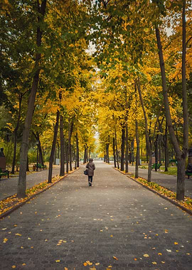 autumn park