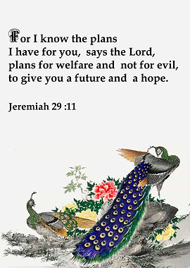 Book of Jeremiah
