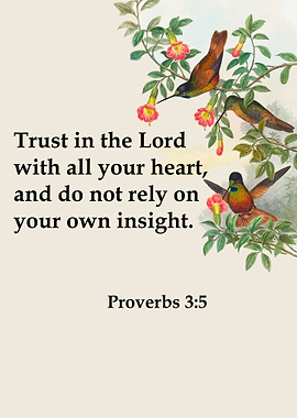 Bible Book of Proverbs