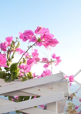 Santorini Oia Beauty 3