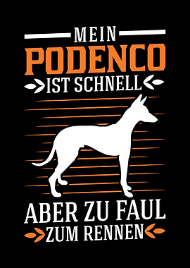 Fauler Podenco Spanischer