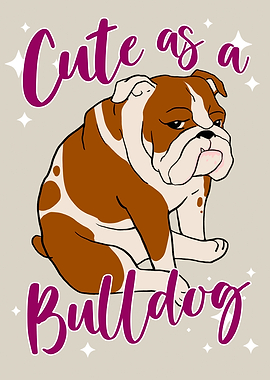 Cute as a bulldog