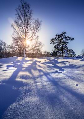 Snowy Winter Landscape