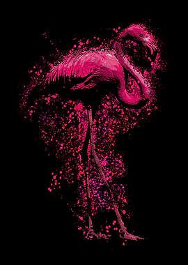 Pink Flamingo