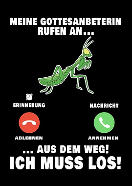 Meine Gottesanbeterin