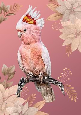 Pink cockatoo