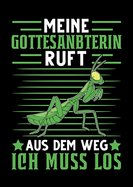 Meine Gottesanbeterin ruft