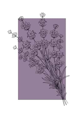 Lavender Flowers Provence