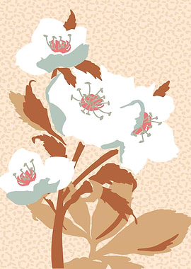 hellebore illustration