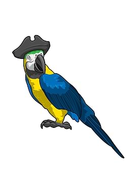 Parrot Pirate Hat