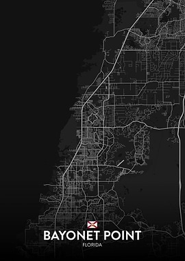 Bayonet Point FL