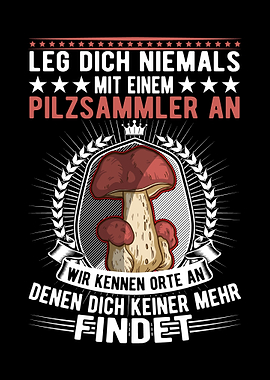 Pilz Pilzkorb Pilze