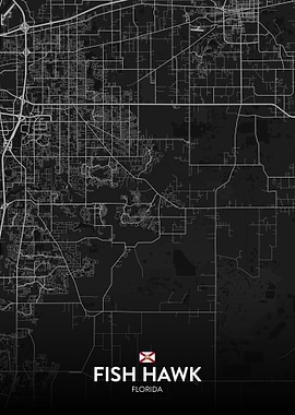 Fish Hawk FL