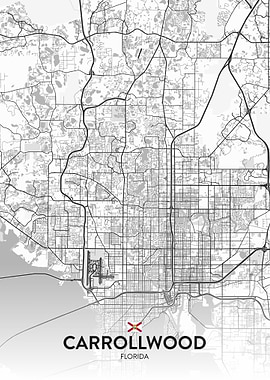 Carrollwood FL