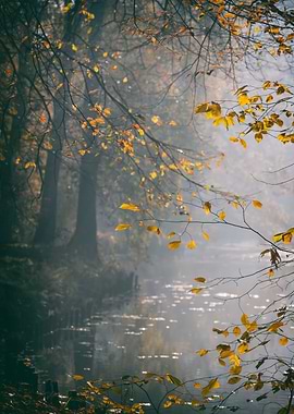Autumn foggy lake in park