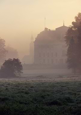 Autumn morning foggy park